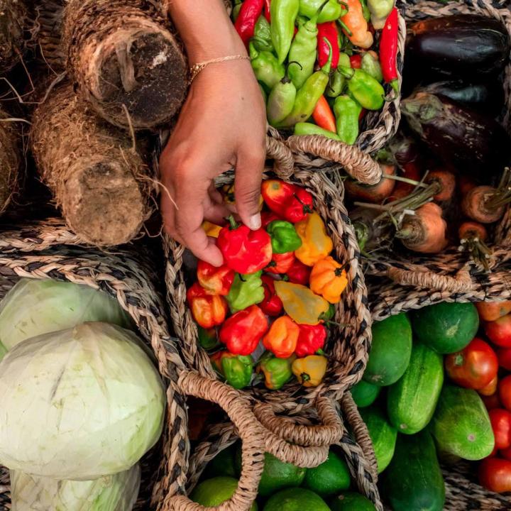 Des produits d'épicerie fine frais
